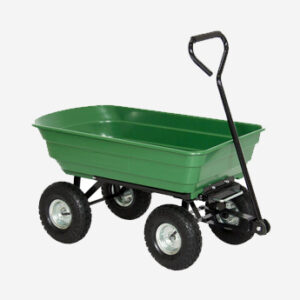 Accusata accommodare